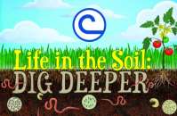 Cartoon of soil and grass saying life in the soil, dig deeper.